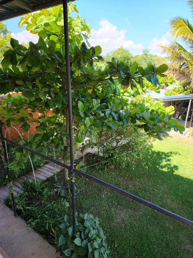 Aparta Hotel Palmerola Comayagua Eksteriør bilde